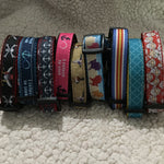 Dog Collar - 3/4" webbing -  - Dog - H2Overboard - 1