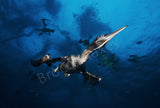 Flying in the Depths - Metal - Large (46 13/16" x 31 1/2") - Photo - Brocq Maxey - 2