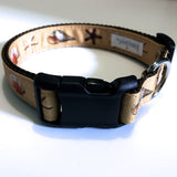 Dog Collar - 1" webbing