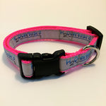 Dog Collar - 3/4" webbing - Small / H2Overboard on Hot Pink - Dog - H2Overboard - 3