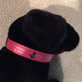 Dog Collar - 1" webbing - Large / I Refuse to Sink - Pink on Black - Dog - H2Overboard - 15
