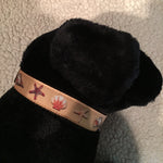 Dog Collar - 1" webbing - Large / Seashells on Brown - Dog - H2Overboard - 13