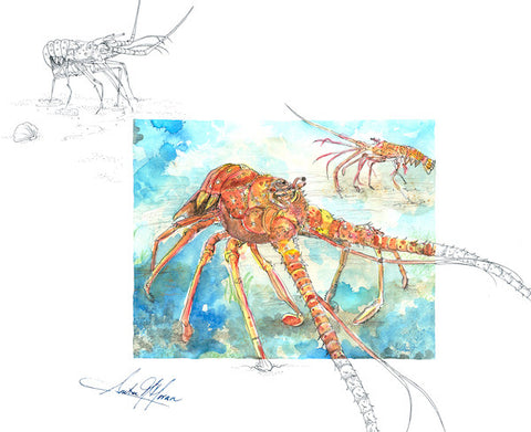 Greeting Card - Reaching Lobster - Single - Greeting Card - Amber M. Moran - 2